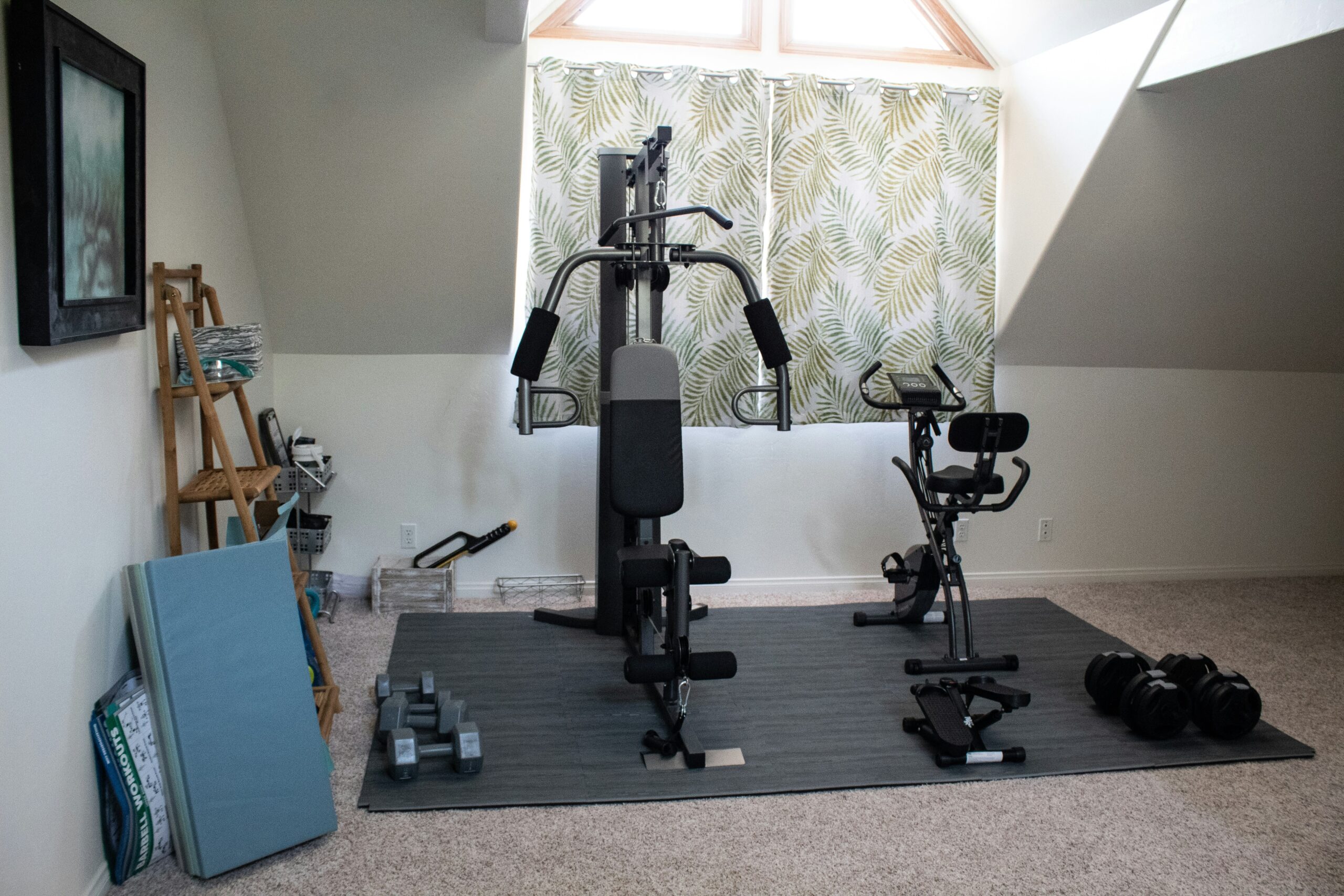 Jem Sirrine- Home Gym